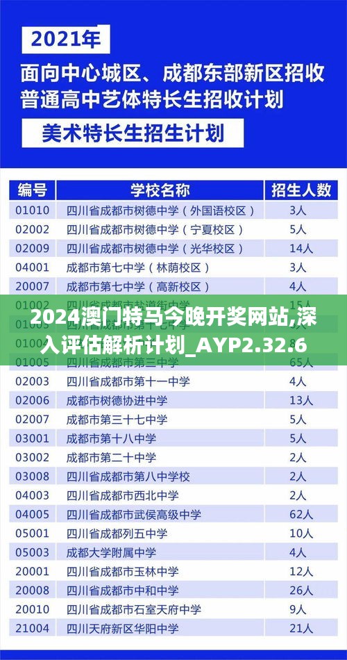 2024澳门特马今晚开奖网站,深入评估解析计划_AYP2.32.60互助版