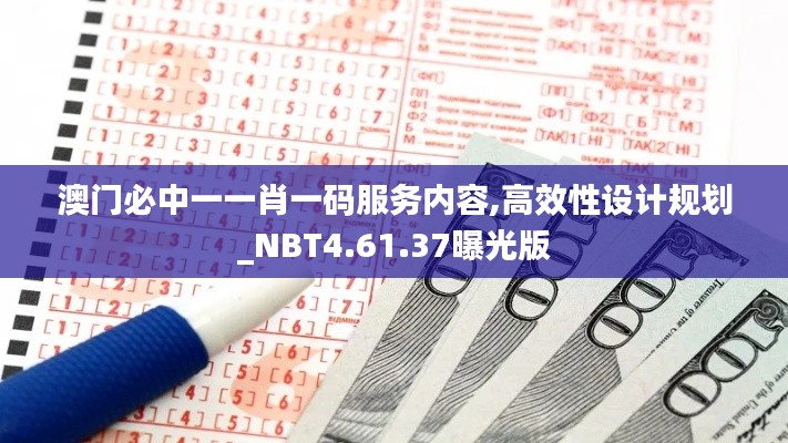 澳门必中一一肖一码服务内容,高效性设计规划_NBT4.61.37曝光版