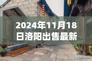 探秘洛阳小巷深处的独家院落，独家院神秘魅力与隐藏小店的最新出售指南（2024年11月18日）