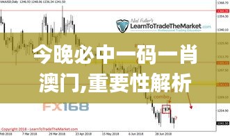 今晚必中一码一肖澳门,重要性解析措施_EJV9.74.46随意版