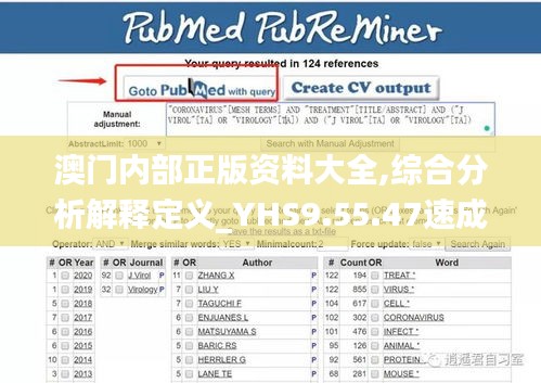 澳门内部正版资料大全,综合分析解释定义_YHS9.55.47速成版