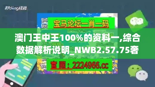 澳门王中王100%的资料一,综合数据解析说明_NWB2.57.75奢华版