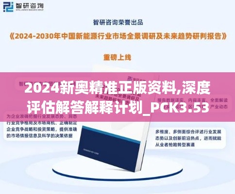 2024新奥精准正版资料,深度评估解答解释计划_PCK3.53.41启天境