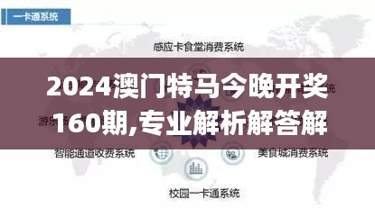 2024澳门特马今晚开奖160期,专业解析解答解释现象_ROH8.24.77装饰版