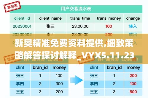 新奥精准免费资料提供,细致策略解答探讨解释_VYX5.11.23颠覆版