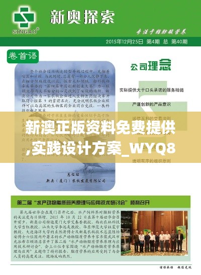 新澳正版资料免费提供,实践设计方案_WYQ8.33.78毛坯版