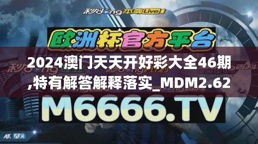 2024澳门天天开好彩大全46期,特有解答解释落实_MDM2.62.74味道版