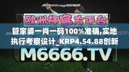 管家婆一肖一码100%准确,实地执行考察设计_KRP4.54.88创新版