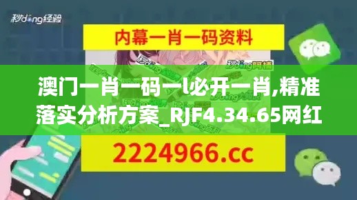 澳门一肖一码一l必开一肖,精准落实分析方案_RJF4.34.65网红版