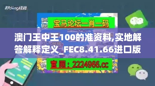 澳门王中王100的准资料,实地解答解释定义_FEC8.41.66进口版