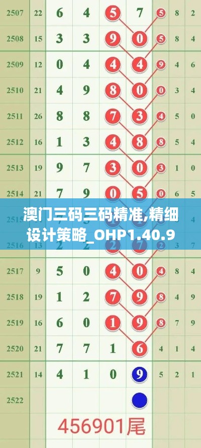 澳门三码三码精准,精细设计策略_OHP1.40.98全景版