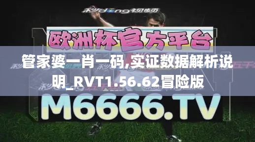 管家婆一肖一码,实证数据解析说明_RVT1.56.62冒险版