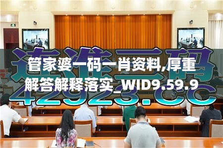 管家婆一码一肖资料,厚重解答解释落实_WID9.59.99职业版