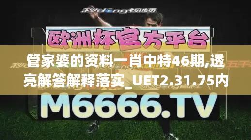 管家婆的资料一肖中特46期,透亮解答解释落实_UET2.31.75内置版