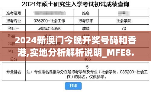 2024新澳门今晚开奖号码和香港,实地分析解析说明_MFE8.45.81奢华版