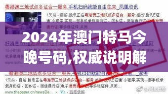 2024年澳门特马今晚号码,权威说明解析_WYV5.52.47实用版