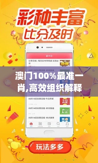 澳门100%最准一肖,高效组织解释落实_ULA5.38.37锐意版