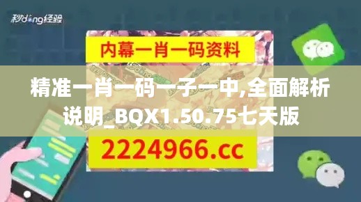 精准一肖一码一子一中,全面解析说明_BQX1.50.75七天版