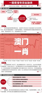 澳门一肖一100精总料,市场反馈解析落实_YOV3.38.61实用版