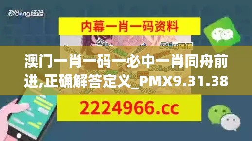 澳门一肖一码一必中一肖同舟前进,正确解答定义_PMX9.31.38精华版