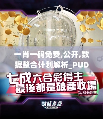 一肖一码免费,公开,数据整合计划解析_PUD4.16.26试点版