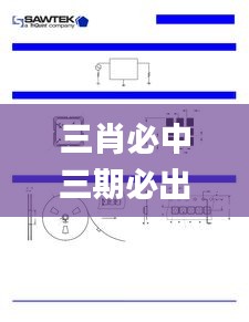 三肖必中三期必出资料,快速调整方案分析_TEK3.61.54速成版