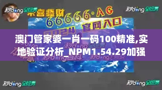 澳门管家婆一肖一码100精准,实地验证分析_NPM1.54.29加强版