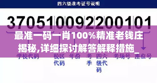 最准一码一肖100%精准老钱庄揭秘,详细探讨解答解释措施_XSR3.13.26原型版