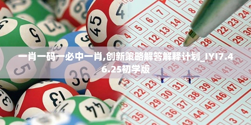 一肖一码一必中一肖,创新策略解答解释计划_IYI7.46.25初学版