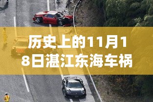 湛江东海车祸意外遭遇，温馨日常背后的悲剧故事