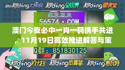 澳门今夜必中一肖一码携手共进，11月19日高效推进解答与策略_STV3.74.22赋能版