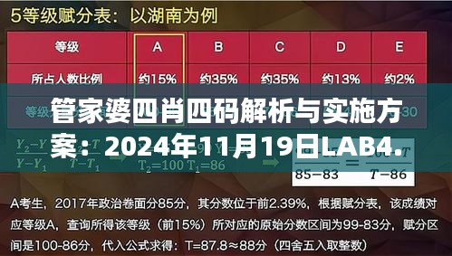 管家婆四肖四码解析与实施方案：2024年11月19日LAB4.41.72影音体验版