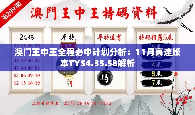 澳门王中王全程必中计划分析：11月高速版本TYS4.35.58解析