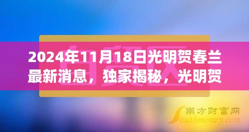 独家揭秘，光明贺春兰最新动态与全方位评测（2024年11月更新）