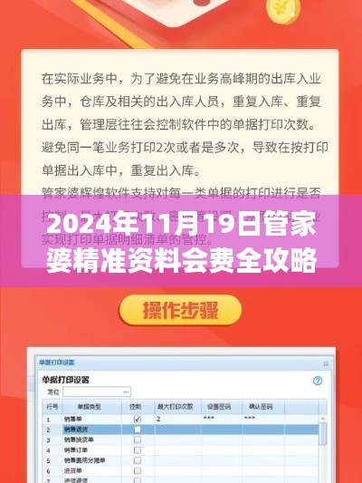 2024年11月19日管家婆精准资料会费全攻略_FTP2.14.31流线型版详解