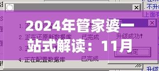 2024年管家婆一站式解读：11月19日总结与落实_EYT9.22.63经典版