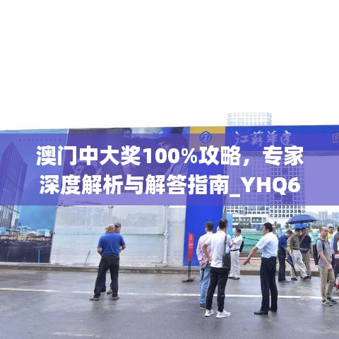 澳门中大奖100%攻略，专家深度解析与解答指南_YHQ6.34.69活力版