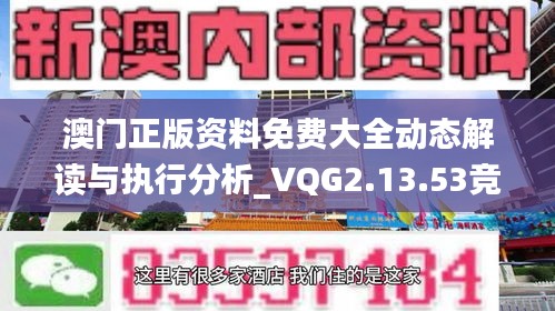 澳门正版资料免费大全动态解读与执行分析_VQG2.13.53竞技版