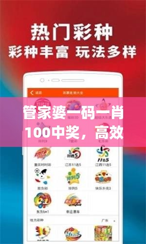 管家婆一码一肖100中奖，高效设计方案_NAQ5.60.90计算机版