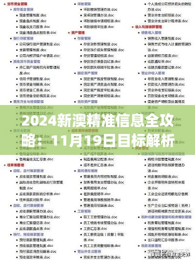 2024新澳精准信息全攻略：11月19日目标解析与执行_OKD4.23.30网红版