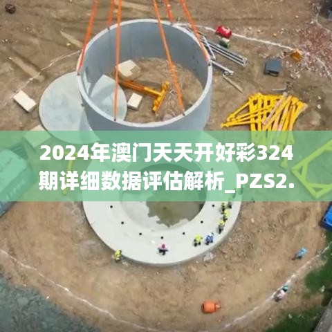 2024年澳门天天开好彩324期详细数据评估解析_PZS2.73.92温馨版