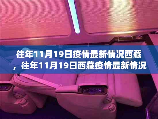 往年11月19日西藏疫情最新情况全面解读与分析报告