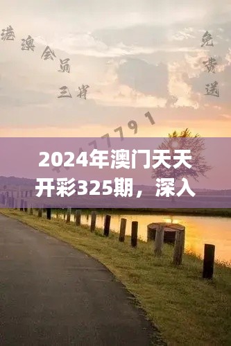 2024年澳门天天开彩325期，深入剖析与解答_XCP5.52.82投资版