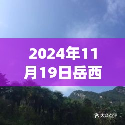 岳西大观园最新动态，探寻未来新动向（2024年11月19日）