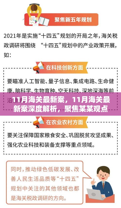 聚焦某某观点，深度解析11月海关最新案件