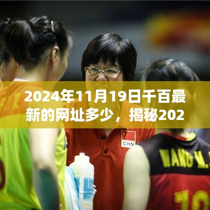 2024年11月19日千百最新的网址多少，揭秘2024年最新网址，探索千百网站的最新门户