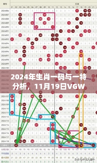 2024年生肖一码与一特分析，11月19日VGW6.49.36经典版策略解读