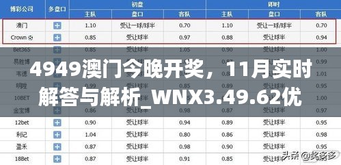 4949澳门今晚开奖，11月实时解答与解析_WNX3.49.62优先版