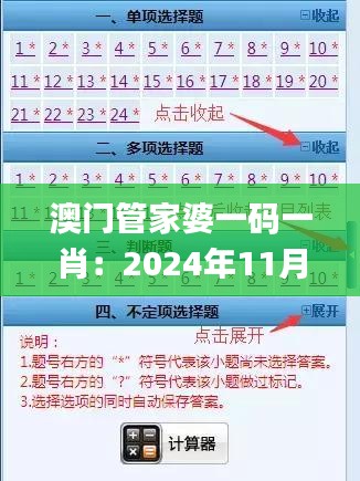 澳门管家婆一码一肖：2024年11月19日重要解答与实施指南_WJS5.22.30跨平台版