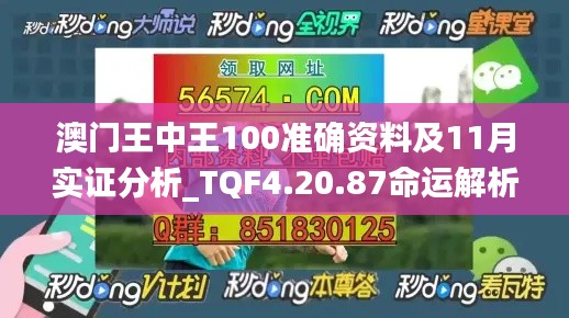 澳门王中王100准确资料及11月实证分析_TQF4.20.87命运解析